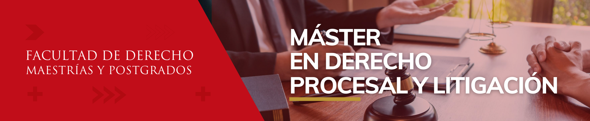 Máster en Derecho Procesal y Litigación