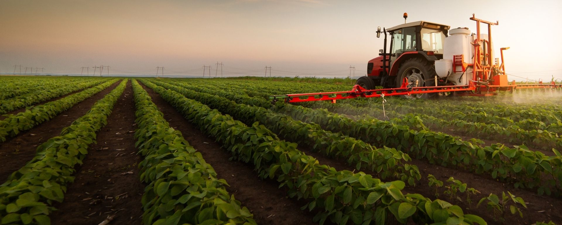 Nuevo Diploma en Agronegocios