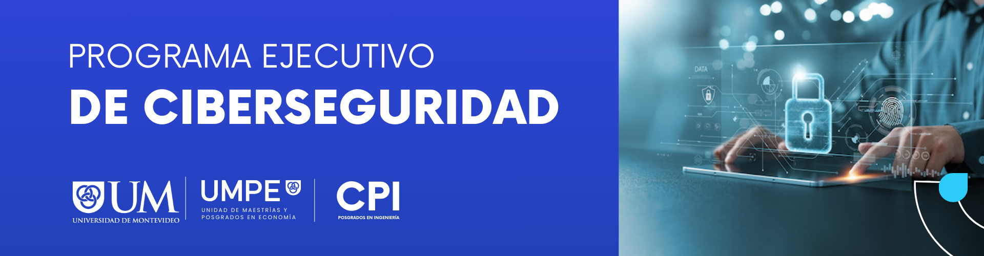 Aparece una persona con tablet en las manos. De la tablet salen íconos de candados y seguridad.